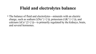 The urinary system is responsible for the formation, storage, and ...