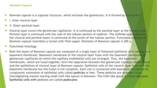 Bowman Capsule
 Bowman capsule is a capsular structure, which encloses the glomerulus. It is formed by two layers:
 i. Inner visceral layer
 ii. Outer parietal layer.
 Visceral layer covers the glomerular capillaries. It is continued as the parietal layer at the visceral pole.
Parietal layer is continued with the wall of the tubular portion of nephron. The cleftlike space between
the visceral and parietal layers is continued as the lumen of the tubular portion. Functional anatomy of
Bowman capsule resembles a funnel with filter paper. Diameter of Bowman capsule is 200 μ.
 Functional histology
 Both the layers of Bowman capsule are composed of a single layer of flattened epithelial cells resting on a
basement membrane. Basement membrane of the visceral layer fuses with the basement membrane of
glomerular capillaries on which the capillary endothelial cells are arranged. Thus, the basement
membranes, which are fused together, form the separation between the glomerular capillary endothelium
and the epithelium of visceral layer of Bowman capsule. Epithelial cells of the visceral layer fuse with the
basement membrane but the fusion is not complete. Each cell is connected with basement membrane by
cytoplasmic extensions of epithelial cells called pedicles or feet. These pedicles are arranged in an
interdigitating manner leaving small cleft like spaces in between. The Cleft like space is called slit pore.
Epithelial cells with pedicles are called podocytes
 