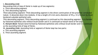 i. Descending Limb
Descending limb of loop of Henle is made up of two segments:
a. Thick descending segment
b. Thin descending segment.
Thick descending segment: Thick descending segment is the direct continuation of the proximal convoluted
tubule. It descends down into medulla. It has a length of 6 mm and a diameter of 55 μ. It is formed by brush
bordered cuboidal epithelial cells.
Thin descending segment: Thick descending segment is continued as thin descending segment . It is formed
by flattened epithelial cells without brush border and it is continued as hairpin bend of the loop.
ii. Hairpin Bend: Hairpin bend formed by flattened epithelial cells without brush border and it is continued
as the ascending limb of loop of Henle.
iii. Ascending Limb: Ascending limb or segment of Henle loop has two parts:
a. Thin ascending segment
b. Thick ascending segment
 