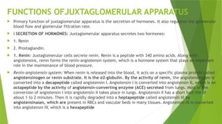 FUNCTIONS OFJUXTAGLOMERULAR APPARATUS
 Primary function of juxtaglomerular apparatus is the secretion of hormones. It also regulates the glomerular
blood flow and glomerular filtration rate.
 „ SECRETION OF HORMONES: Juxtaglomerular apparatus secretes two hormones:
 1. Renin
 2. Prostaglandin.
 1. Renin: Juxtaglomerular cells secrete renin. Renin is a peptide with 340 amino acids. Along with
angiotensins, renin forms the renin-angiotensin system, which is a hormone system that plays an important
role in the maintenance of blood pressure.
 Renin-angiotensin system: When renin is released into the blood, it acts on a specific plasma protein called
angiotensinogen or renin substrate. It is the α2-globulin. By the activity of renin, the angiotensinogen is
converted into a decapeptide called angiotensin I. Angiotensin I is converted into angiotensin II, which is an
octapeptide by the activity of angiotensin-converting enzyme (ACE) secreted from lungs. Most of the
conversion of angiotensin I into angiotensin II takes place in lungs. Angiotensin II has a short half-life of
about 1 to 2 minutes. Then it is rapidly degraded into a heptapeptide called angiotensin III by
angiotensinases, which are present in RBCs and vascular beds in many tissues. Angiotensin III is converted
into angiotensin IV, which is a hexapeptide
 