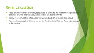 Renal Circulation
 Blood vessels of kidneys are highly specialized to facilitate the functions of nephrons in the
formation of urine. In the adults, during resting conditions both the
 kidneys receive 1,300 mL of blood per minute or about 26% of the cardiac output.
 Maximum blood supply to kidneys has got the functional significance. Renal arteries supply blood
to the kidneys.
 