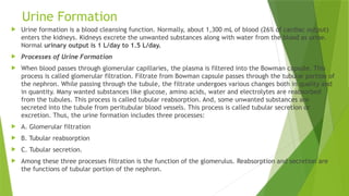 Urine Formation
 Urine formation is a blood cleansing function. Normally, about 1,300 mL of blood (26% of cardiac output)
enters the kidneys. Kidneys excrete the unwanted substances along with water from the blood as urine.
Normal urinary output is 1 L/day to 1.5 L/day.
 Processes of Urine Formation
 When blood passes through glomerular capillaries, the plasma is filtered into the Bowman capsule. This
process is called glomerular filtration. Filtrate from Bowman capsule passes through the tubular portion of
the nephron. While passing through the tubule, the filtrate undergoes various changes both in quality and
in quantity. Many wanted substances like glucose, amino acids, water and electrolytes are reabsorbed
from the tubules. This process is called tubular reabsorption. And, some unwanted substances are
secreted into the tubule from peritubular blood vessels. This process is called tubular secretion or
excretion. Thus, the urine formation includes three processes:
 A. Glomerular filtration
 B. Tubular reabsorption
 C. Tubular secretion.
 Among these three processes filtration is the function of the glomerulus. Reabsorption and secretion are
the functions of tubular portion of the nephron.
 