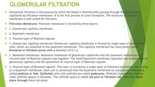 GLOMERULAR FILTRATION
 Glomerular filtration is the process by which the blood is filtered while passing through the glomerular
capillaries by filtration membrane. It is the first process of urine formation. The structure of filtration
membrane is well suited for filtration.
 Filtration Membrane: Filtration membrane is formed by three layers:
 1. Glomerular capillary membrane
 2. Basement membrane
 3. Visceral layer of Bowman capsule.
 1. Glomerular capillary membrane Glomerular capillary membrane is formed by single layer of endothelial
cells, which are attached to the basement membrane. The capillary membrane has many pores called
fenestrae or filtration pores with a diameter of 0.1 μ.
 2. Basement membrane: Basement membrane of glomerular capillaries and the basement membrane of
visceral layer of Bowman capsule fuse together. The fused basement membrane separates the endothelium of
glomerular capillary and the epithelium of visceral layer of Bowman capsule.
 3. Visceral layer of Bowman capsule: This layer is formed by a single layer of flattened epithelial cells resting
on a basement membrane. Each cell is connected with the basement membrane by cytoplasmic extensions
called pedicles or feet. Epithelial cells with pedicles are called podocytes. Pedicles interdigitate leaving
small cleftlike spaces in between. The cleftlike space is called slit pore or filtration slit. Filtration takes
place through these slit pores.
 
