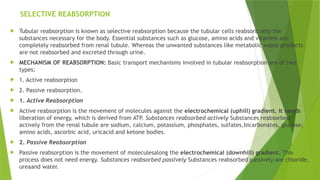 SELECTIVE REABSORPTION
 Tubular reabsorption is known as selective reabsorption because the tubular cells reabsorb only the
substances necessary for the body. Essential substances such as glucose, amino acids and vitamins are
completely reabsorbed from renal tubule. Whereas the unwanted substances like metabolic waste products
are not reabsorbed and excreted through urine.
 MECHANISM OF REABSORPTION: Basic transport mechanisms involved in tubular reabsorption are of two
types:
 1. Active reabsorption
 2. Passive reabsorption.
 1. Active Reabsorption
 Active reabsorption is the movement of molecules against the electrochemical (uphill) gradient. It needs
liberation of energy, which is derived from ATP. Substances reabsorbed actively Substances reabsorbed
actively from the renal tubule are sodium, calcium, potassium, phosphates, sulfates,bicarbonates, glucose,
amino acids, ascorbic acid, uricacid and ketone bodies.
 2. Passive Reabsorption
 Passive reabsorption is the movement of moleculesalong the electrochemical (downhill) gradient. This
process does not need energy. Substances reabsorbed passively Substances reabsorbed passively are chloride,
ureaand water.
 