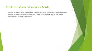 Reabsorption of Amino Acids
 Amino acids are also reabsorbed completely in proximal convoluted tubule.
Amino acids are reabsorbed actively by the secondary active transport
mechanism along with sodium.
 