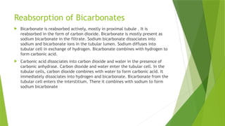 Reabsorption of Bicarbonates
 Bicarbonate is reabsorbed actively, mostly in proximal tubule . It is
reabsorbed in the form of carbon dioxide. Bicarbonate is mostly present as
sodium bicarbonate in the filtrate. Sodium bicarbonate dissociates into
sodium and bicarbonate ions in the tubular lumen. Sodium diffuses into
tubular cell in exchange of hydrogen. Bicarbonate combines with hydrogen to
form carbonic acid.
 Carbonic acid dissociates into carbon dioxide and water in the presence of
carbonic anhydrase. Carbon dioxide and water enter the tubular cell. In the
tubular cells, carbon dioxide combines with water to form carbonic acid. It
immediately dissociates into hydrogen and bicarbonate. Bicarbonate from the
tubular cell enters the interstitium. There it combines with sodium to form
sodium bicarbonate
 