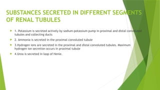 SUBSTANCES SECRETED IN DIFFERENT SEGMENTS
OF RENAL TUBULES
 1. Potassium is secreted actively by sodium-potassium pump in proximal and distal convoluted
tubules and collecting ducts
 2. Ammonia is secreted in the proximal convoluted tubule
 3.Hydrogen ions are secreted in the proximal and distal convoluted tubules. Maximum
hydrogen ion secretion occurs in proximal tubule
 4.Urea is secreted in loop of Henle.
 