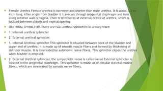  Female Urethra Female urethra is narrower and shorter than male urethra. It is about 3.5 to
4 cm long. After origin from bladder it traverses through urogenital diaphragm and runs
along anterior wall of vagina. Then it terminates at external orifice of urethra, which is
located between clitoris and vaginal opening
 URETHRAL SPHINCTERS There are two urethral sphincters in urinary tract:
 1. Internal urethral sphincter
 2. External urethral sphincter.
 1. Internal Urethral sphincter This sphincter is situated between neck of the bladder and
upper end of urethra. It is made up of smooth muscle fibers and formed by thickening of
detrusor muscle. It is innervated by autonomic nerve fibers. This sphincter closes the urethra
when bladder is emptied.
 2. External Urethral sphincter, the sympathetic nerve is called nerve External sphincter is
located in the urogenital diaphragm. This sphincter is made up of circular skeletal muscle
fibers, which are innervated by somatic nerve fibers.
 