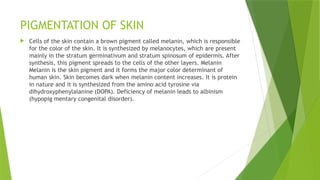 PIGMENTATION OF SKIN
 Cells of the skin contain a brown pigment called melanin, which is responsible
for the color of the skin. It is synthesized by melanocytes, which are present
mainly in the stratum germinativum and stratum spinosum of epidermis. After
synthesis, this pigment spreads to the cells of the other layers. Melanin
Melanin is the skin pigment and it forms the major color determinant of
human skin. Skin becomes dark when melanin content increases. It is protein
in nature and it is synthesized from the amino acid tyrosine via
dihydroxyphenylalanine (DOPA). Deficiency of melanin leads to albinism
(hypopig mentary congenital disorder).
 