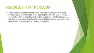 HEMOGLOBIN IN THE BLOOD
 Amount and nature of hemoglobin that circulates in the cutaneous blood
vessels play an important role in the coloration of the skin. Skin becomes: i.
ii. iii. Pale, when hemoglobin content decreases Pink, when blood rushes to
skin due to cutaneous vasodilatation (blushing) Bluish during cyanosis, which
is caused by excess amount of reduced hemoglobin.
 