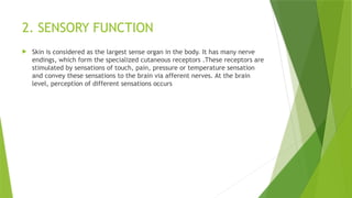 2. SENSORY FUNCTION
 Skin is considered as the largest sense organ in the body. It has many nerve
endings, which form the specialized cutaneous receptors .These receptors are
stimulated by sensations of touch, pain, pressure or temperature sensation
and convey these sensations to the brain via afferent nerves. At the brain
level, perception of different sensations occurs
 