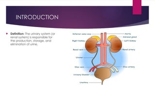 Anatomy and psychology of Urinary system.pptx