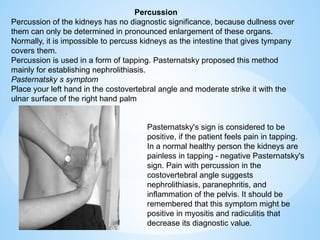 Comprehensive Examination Methods and Symptoms of Urinary System ...