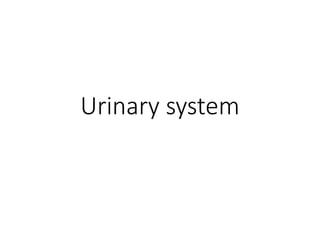 Urinary system
 