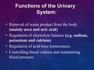 Functions of the Urinary
System:
• Removal of waste product from the body
(mainly urea and uric acid)
• Regulation of electrolyte balance (e.g. sodium,
potassium and calcium)
• Regulation of acid-base homeostasis.
• Controlling blood volume and maintaining
blood pressure.
 
