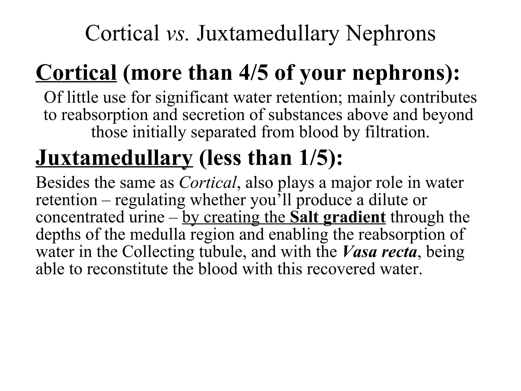 Cortical  vs.  Juxtamedullary Nephrons Cortical  (more than 4/5 of your nephrons): Of little use for significant water retention; mainly contributes to reabsorption and secretion of substances above and beyond  those initially separated from blood by filtration. Juxtamedullary  (less than 1/5): Besides the same as  Cortical , also plays a major role in water retention – regulating whether you’ll produce a dilute or concentrated urine –  by creating the  Salt gradient  through the depths of the medulla region and enabling the reabsorption of water in the Collecting tubule, and with the  Vasa recta , being able to reconstitute the blood with this recovered water. 