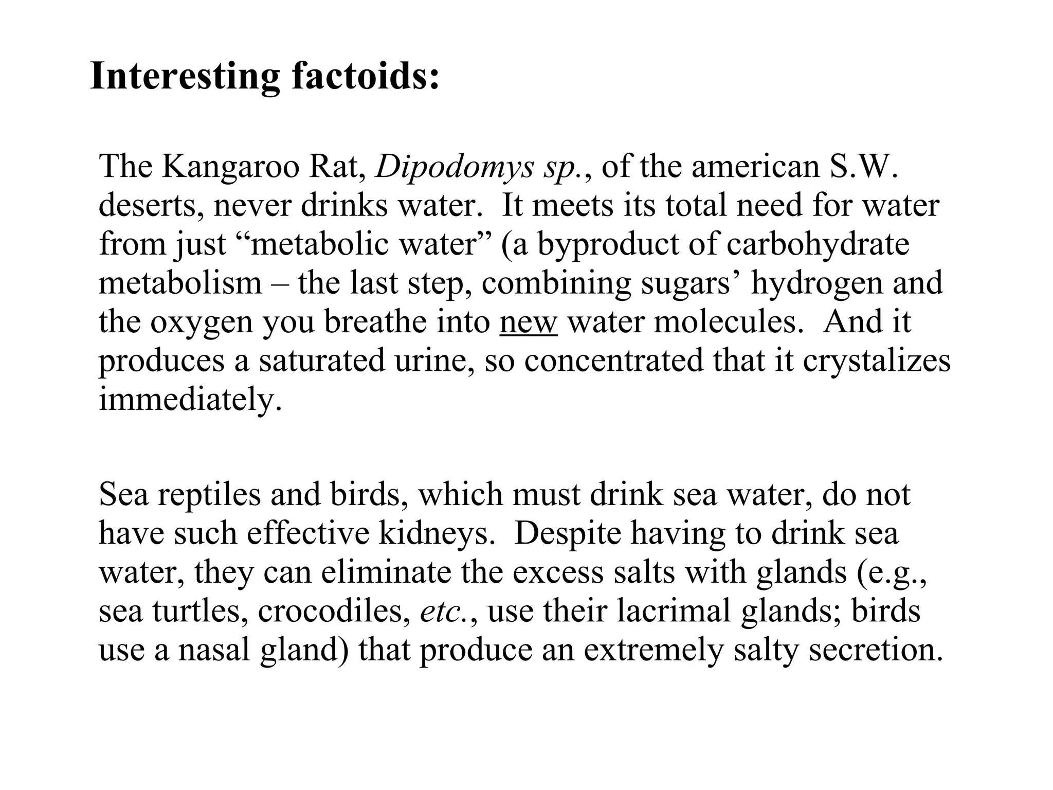 Interesting factoids: The Kangaroo Rat,  Dipodomys sp. , of the american S.W. deserts, never drinks water.  It meets its total need for water from just “metabolic water” (a byproduct of carbohydrate metabolism – the last step, combining sugars’ hydrogen and the oxygen you breathe into  new  water molecules.  And it produces a saturated urine, so concentrated that it crystalizes immediately. Sea reptiles and birds, which must drink sea water, do not have such effective kidneys.  Despite having to drink sea water, they can eliminate the excess salts with glands (e.g., sea turtles, crocodiles,  etc. , use their lacrimal glands; birds use a nasal gland) that produce an extremely salty secretion. 