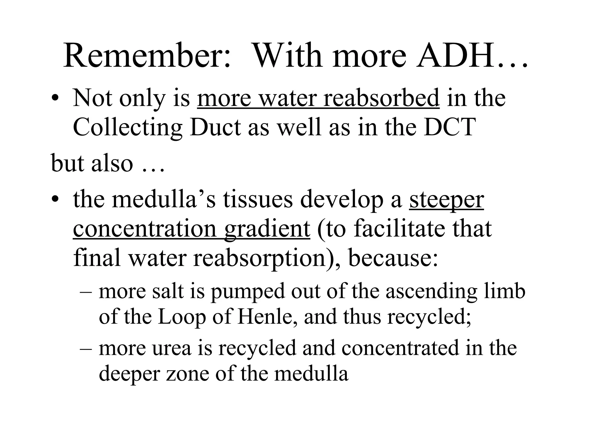 Remember:  With more ADH… Not only is  more water reabsorbed  in the Collecting Duct as well as in the DCT but also … the medulla’s tissues develop a  steeper concentration gradient  (to facilitate that final water reabsorption), because: more salt is pumped out of the ascending limb of the Loop of Henle, and thus recycled;  more urea is recycled and concentrated in the deeper zone of the medulla 