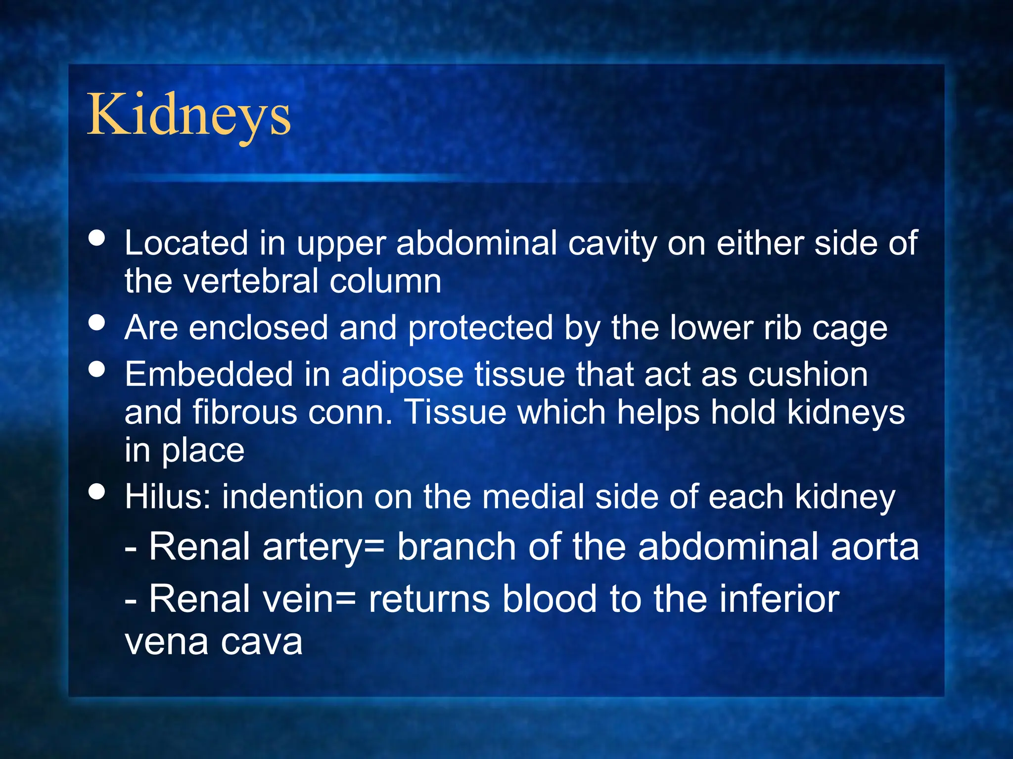 UrinarySystem09 AND PRESENTATION ON THE BODY SYTEM | PPT