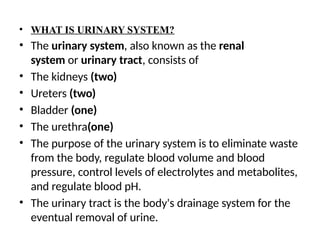 • WHAT IS URINARY SYSTEM?
• The urinary system, also known as the renal
system or urinary tract, consists of
• The kidneys (two)
• Ureters (two)
• Bladder (one)
• The urethra(one)
• The purpose of the urinary system is to eliminate waste
from the body, regulate blood volume and blood
pressure, control levels of electrolytes and metabolites,
and regulate blood pH.
• The urinary tract is the body's drainage system for the
eventual removal of urine.
 