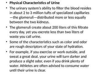 • Physical Characteristics of Urine
• The urinary system’s ability to filter the blood resides
in about 2 to 3 million tufts of specialized capillaries
—the glomeruli—distributed more or less equally
between the two kidneys.
• The glomeruli create about 200 liters of this filtrate
every day, yet you excrete less than two liters of
waste you call urine.
• Some of the characteristics such as color and odor
are rough descriptors of your state of hydration.
• For example, if you exercise or work outside, and
sweat a great deal, your urine will turn darker and
produce a slight odor, even if you drink plenty of
water. Athletes are often advised to consume water
until their urine is clear.
 