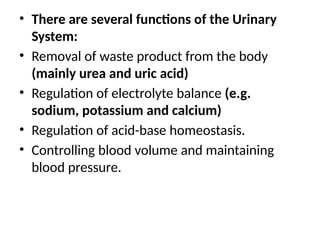 • There are several functions of the Urinary
System:
• Removal of waste product from the body
(mainly urea and uric acid)
• Regulation of electrolyte balance (e.g.
sodium, potassium and calcium)
• Regulation of acid-base homeostasis.
• Controlling blood volume and maintaining
blood pressure.
 