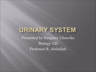 Presented by Kingsley Ubawike Biology 120 Professor R. Abdullah 