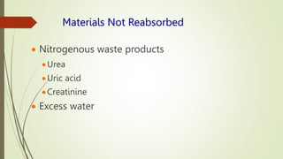 Materials Not Reabsorbed
 Nitrogenous waste products
Urea
Uric acid
Creatinine
 Excess water
 