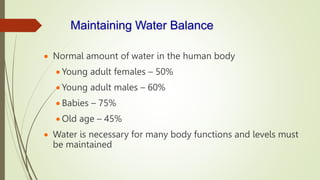 Maintaining Water Balance
 Normal amount of water in the human body
 Young adult females – 50%
 Young adult males – 60%
 Babies – 75%
 Old age – 45%
 Water is necessary for many body functions and levels must
be maintained
 