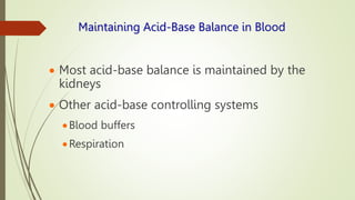 Maintaining Acid-Base Balance in Blood
 Most acid-base balance is maintained by the
kidneys
 Other acid-base controlling systems
Blood buffers
Respiration
 