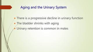 Aging and the Urinary System
 There is a progressive decline in urinary function
 The bladder shrinks with aging
 Urinary retention is common in males
 