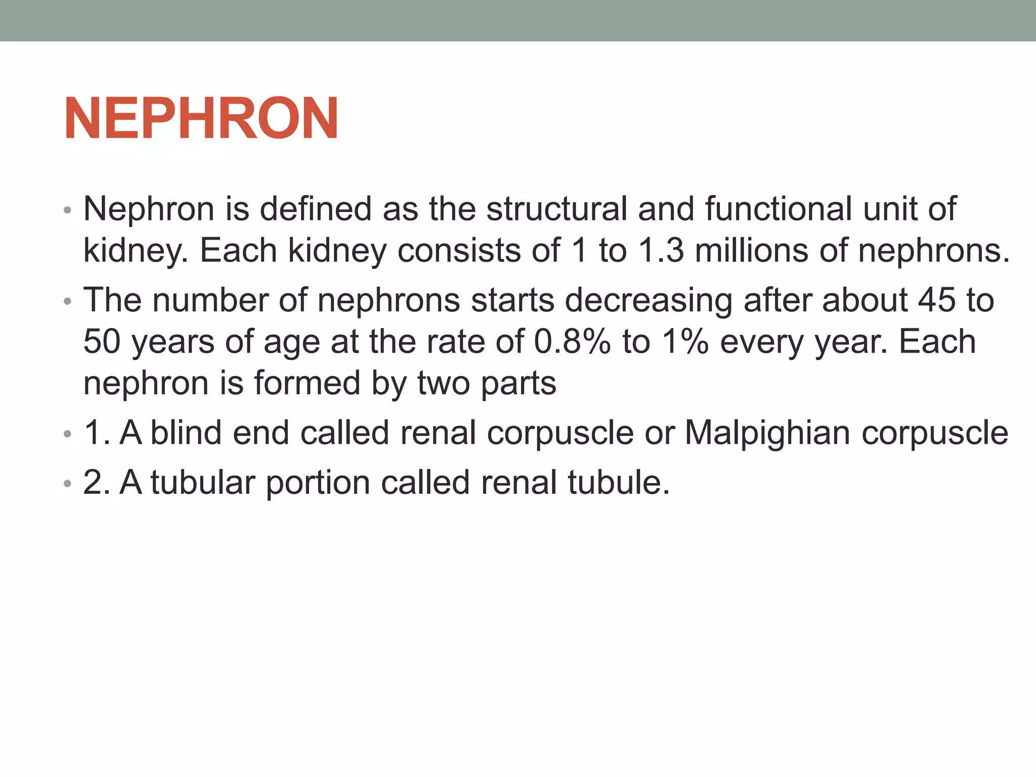 NEPHRON
• Nephron is defined as the structural and functional unit of
kidney. Each kidney consists of 1 to 1.3 millions of nephrons.
• The number of nephrons starts decreasing after about 45 to
50 years of age at the rate of 0.8% to 1% every year. Each
nephron is formed by two parts
• 1. A blind end called renal corpuscle or Malpighian corpuscle
• 2. A tubular portion called renal tubule.
 