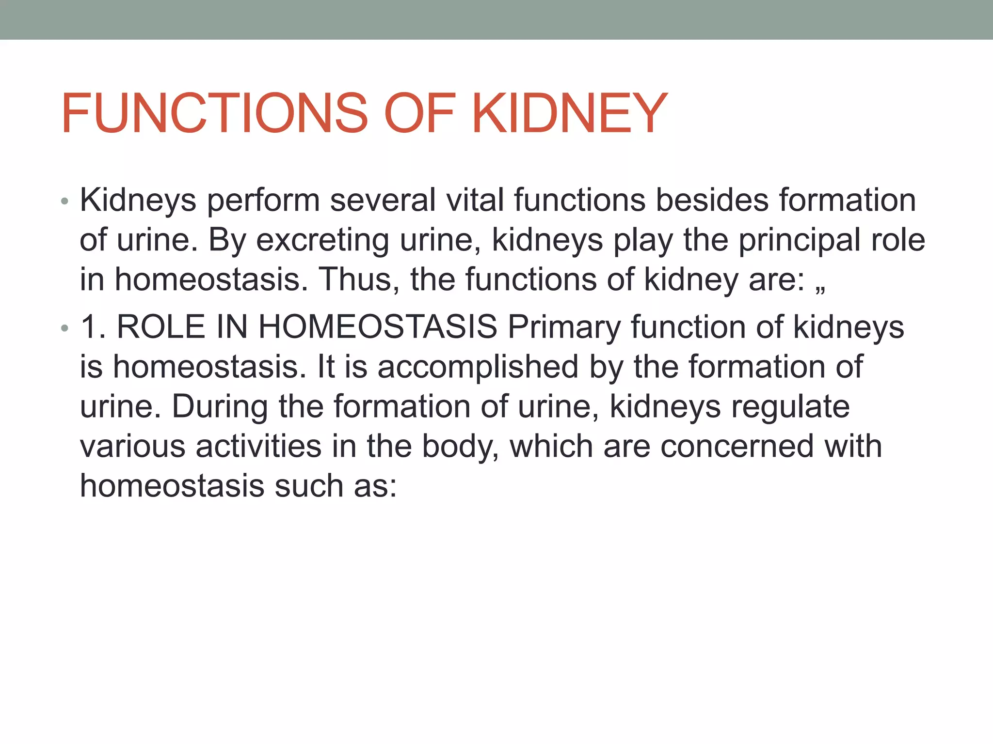 FUNCTIONS OF KIDNEY
• Kidneys perform several vital functions besides formation
of urine. By excreting urine, kidneys play the principal role
in homeostasis. Thus, the functions of kidney are: „
• 1. ROLE IN HOMEOSTASIS Primary function of kidneys
is homeostasis. It is accomplished by the formation of
urine. During the formation of urine, kidneys regulate
various activities in the body, which are concerned with
homeostasis such as:
 