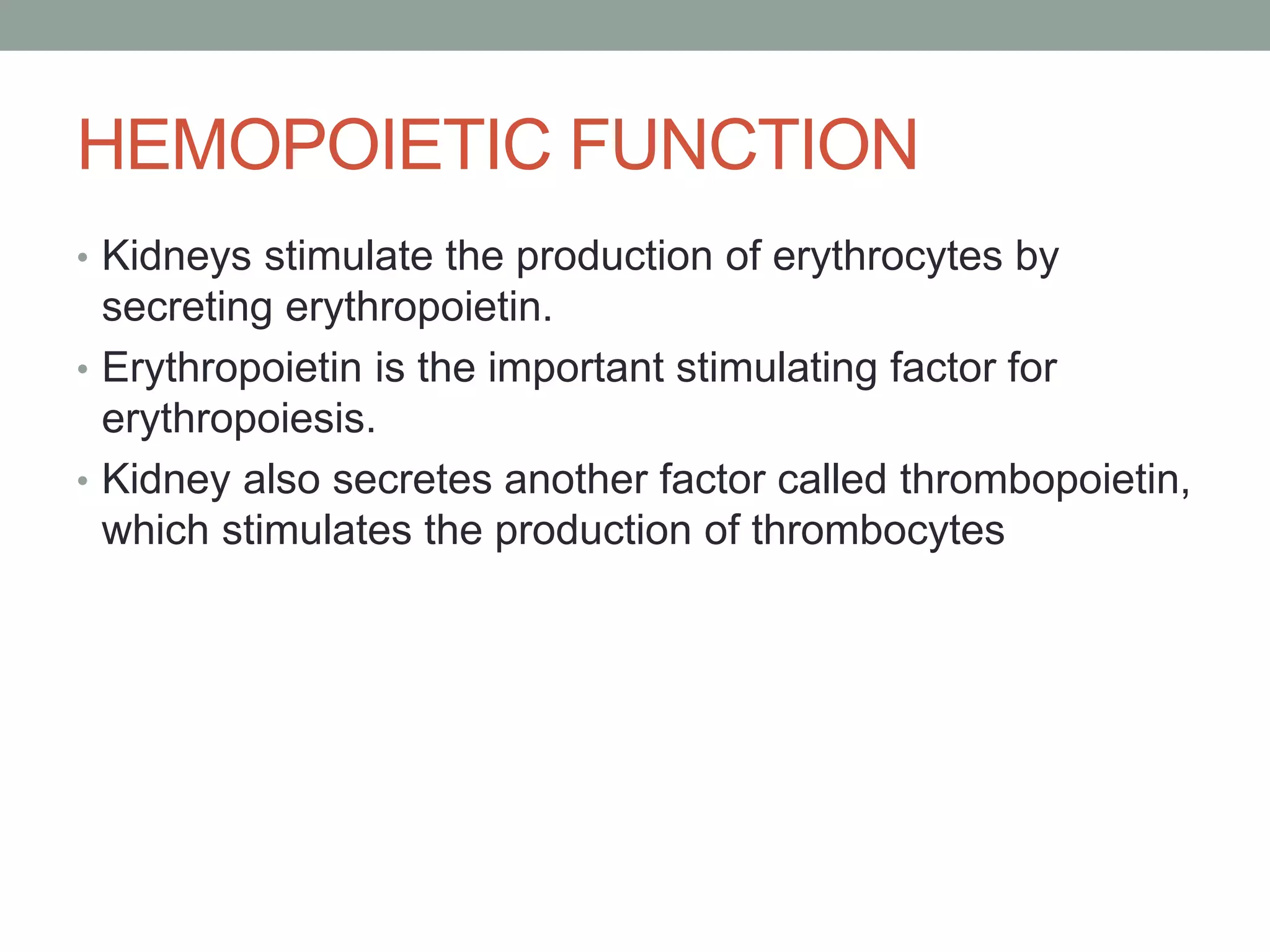 HEMOPOIETIC FUNCTION
• Kidneys stimulate the production of erythrocytes by
secreting erythropoietin.
• Erythropoietin is the important stimulating factor for
erythropoiesis.
• Kidney also secretes another factor called thrombopoietin,
which stimulates the production of thrombocytes
 