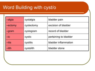 Word Building with cyst/o

 –algia    cystalgia    bladder pain

 –ectomy   cystectomy   excision of bladder

 –gram     cystogram    record of bladder

 –ic       cystic       pertaining to bladder

 –itis     cystitis     bladder inflammation

 –lith     cystolith    bladder stone
 