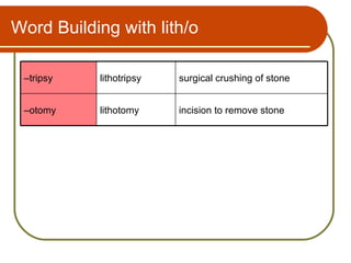 Word Building with lith/o

 –tripsy   lithotripsy   surgical crushing of stone


 –otomy    lithotomy     incision to remove stone
 