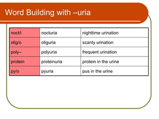 Word Building with –uria

 noct/i    nocturia      nighttime urination

 olig/o    oliguria      scanty urination

 poly–     polyuria      frequent urination

 protein   proteinuria   protein in the urine

 py/o      pyuria        pus in the urine
 