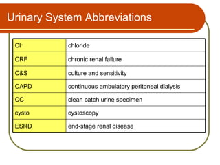 Urinary System Abbreviations

 Cl–       chloride

 CRF       chronic renal failure

 C&S       culture and sensitivity

 CAPD      continuous ambulatory peritoneal dialysis

 CC        clean catch urine specimen

 cysto     cystoscopy

 ESRD      end-stage renal disease
 