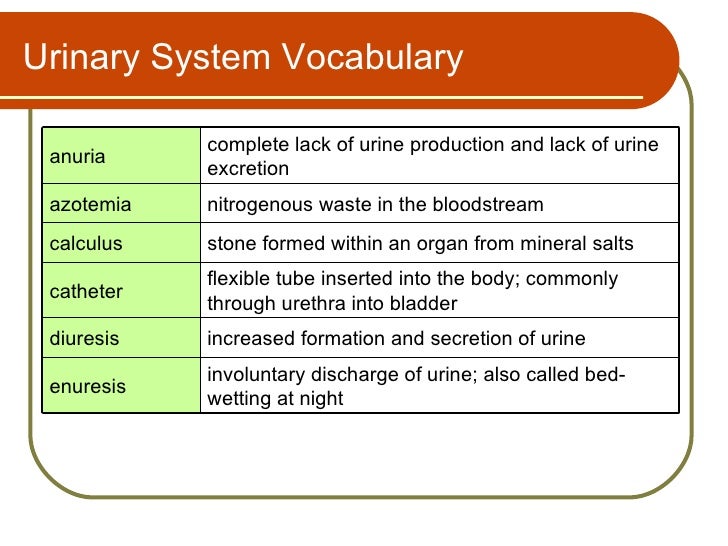 a study of enuresis the involuntary discharge of urine Study 38 chapter 13: health-related and substance-use disorders health-related and substance-use disorders involuntary discharge of urine occuring in. a study of enuresis the involuntary discharge of urine Study 38 chapter 13: health-related and substance-use disorders health-related and substance-use disorders involuntary discharge of urine occuring in.