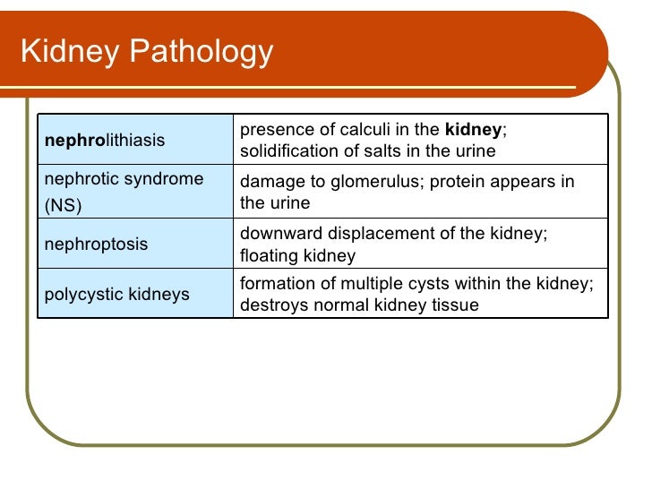 Nephroptosis In A Young Woman With Joint Laxity Nature Reviews