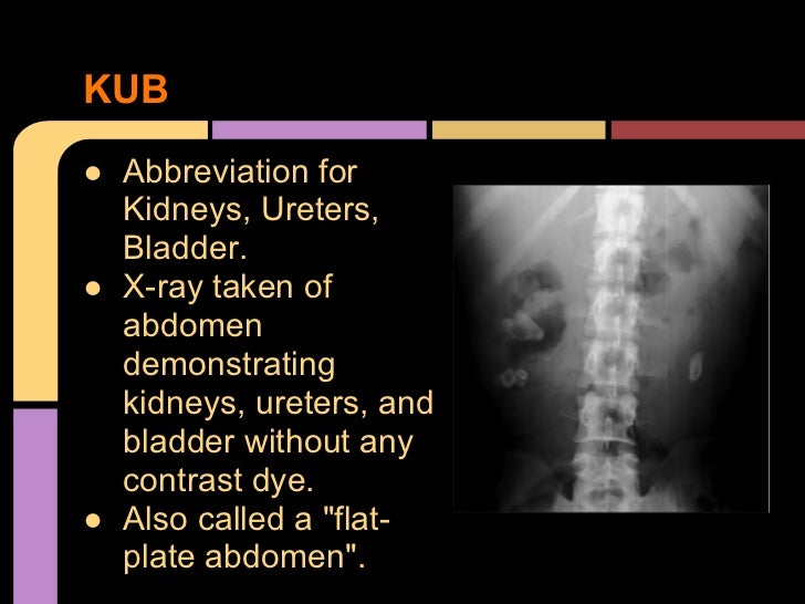 Urinary systemabbreviations 1