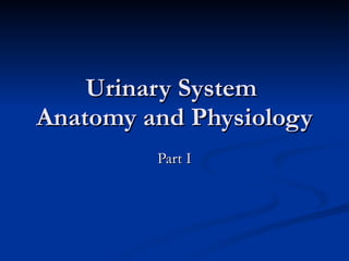 Urinary System  Anatomy and Physiology Part I 