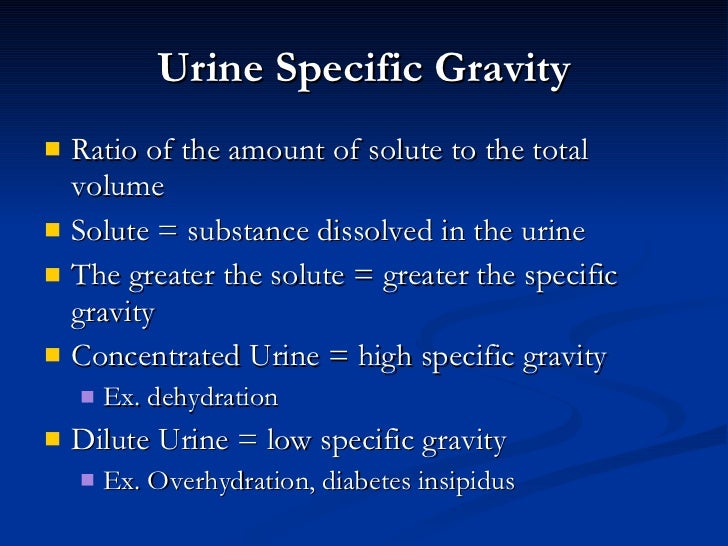 Urinary+system+anatomy+and+physiology