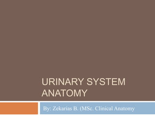 URINARY SYSTEM
ANATOMY
By: Zekarias B. (MSc. Clinical Anatomy
 