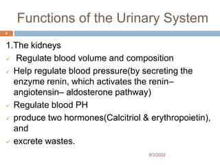 Functions of the Urinary System
1.The kidneys
 Regulate blood volume and composition
 Help regulate blood pressure(by secreting the
enzyme renin, which activates the renin–
angiotensin– aldosterone pathway)
 Regulate blood PH
 produce two hormones(Calcitriol & erythropoietin),
and
 excrete wastes.
8/3/2022
4
 