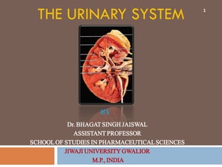 THE URINARY SYSTEM
Dr. BHAGAT SINGH JAISWAL
ASSISTANT PROFESSOR
SCHOOLOF STUDIES IN PHARMACEUTICALSCIENCES
JIWAJI UNIVERSITY GWALIOR
M.P., INDIA
BY
1
 