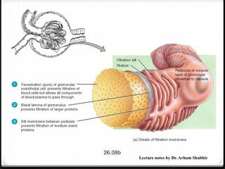 Lecture notes by Dr. Arham Shabbir
 
