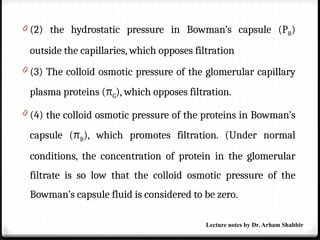 0 (2) the hydrostatic pressure in Bowman’s capsule (PB)
outside the capillaries, which opposes filtration
0 (3) The colloid osmotic pressure of the glomerular capillary
plasma proteins (πG), which opposes filtration.
0 (4) the colloid osmotic pressure of the proteins in Bowman’s
capsule (πB), which promotes filtration. (Under normal
conditions, the concentration of protein in the glomerular
filtrate is so low that the colloid osmotic pressure of the
Bowman’s capsule fluid is considered to be zero.
Lecture notes by Dr. Arham Shabbir
 