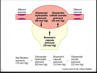 Lecture notes by Dr. Arham Shabbir
 