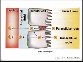 Lecture notes by Dr. Arham Shabbir
 